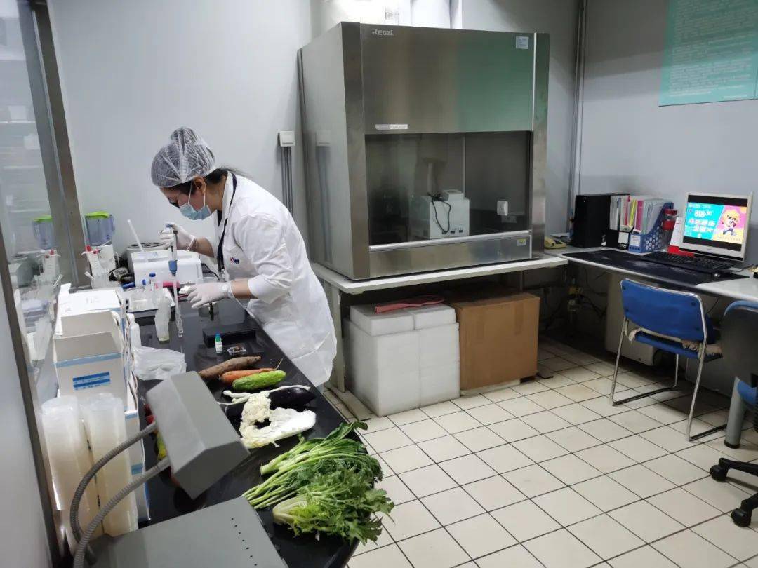电白食品检测实验室装修方案